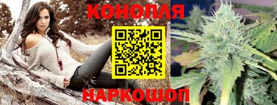 гашиш Кингисепп