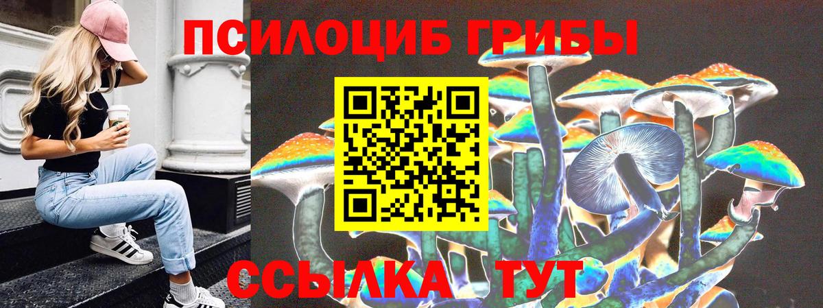 Псилоцибиновые грибы мицелий  Вход с VPN  Красноармейск  Псилоцибиновые грибы MAGIC MUSHROOMS 